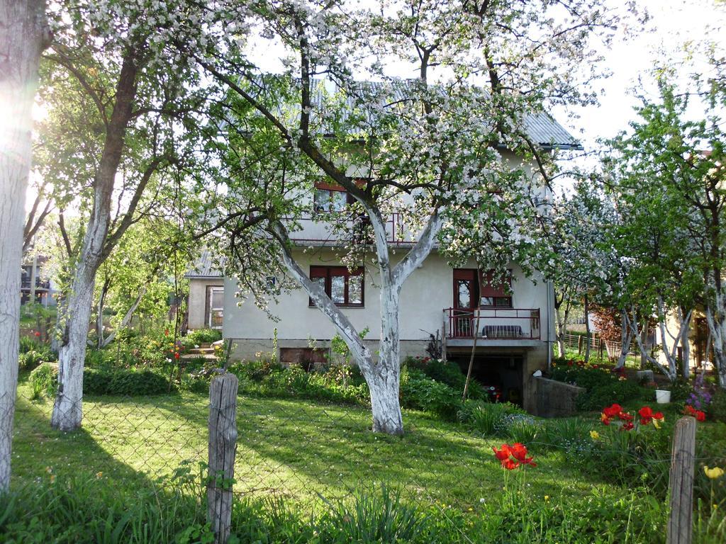 Guest House Krga Korenica Dış mekan fotoğraf